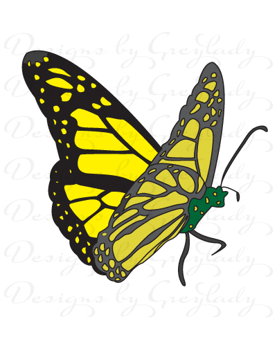 Golden Butterfly
